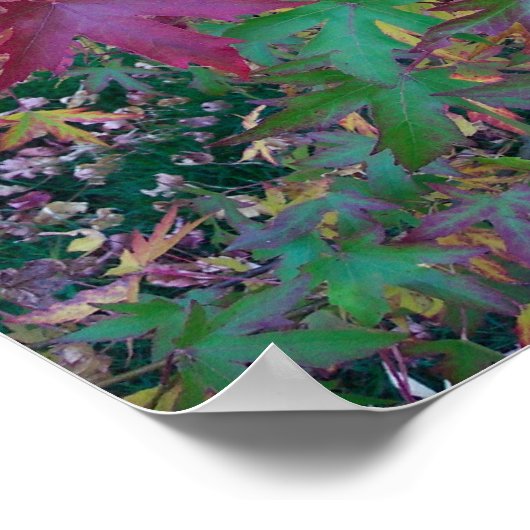 Colors of Fall Poster (Ecke)