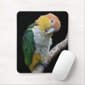 Colortul Süsse Mousemat Mousepad (Mit Mouse)