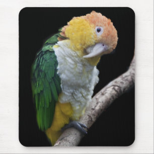 Colortul Süsse Mousemat Mousepad