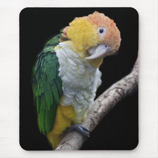 Colortul Süsse Mousemat Mousepad (Vorne)