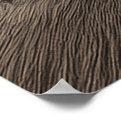 Colosseum in rome with warm sunset light poster (Ecke)