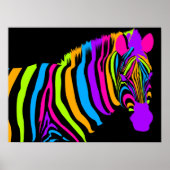 Colour Burst Zebra Poster (Vorne)