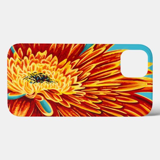 Colour Bursts I Case-Mate iPhone Hülle (Rückseite (Horizontal))