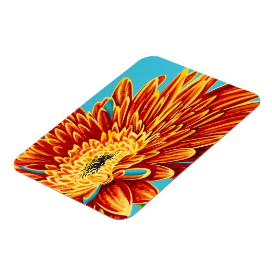 Colour Bursts I Magnet (Linke Seite)