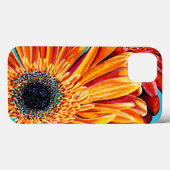 Colour Bursts II Case-Mate iPhone Hülle (Rückseite (Horizontal))