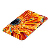 Colour Bursts II Magnet (Linke Seite)