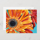 Colour Bursts II Postkarte (Vorne/Hinten)