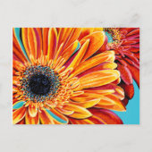 Colour Bursts II Postkarte (Vorderseite)