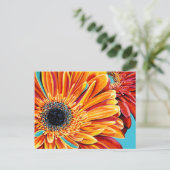 Colour Bursts II Postkarte (Stehend Vorderseite)