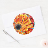 Colour Bursts II Runder Aufkleber (Umschlag)