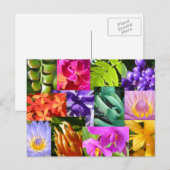 Colour Me Happy Postkarte (Vorne/Hinten)