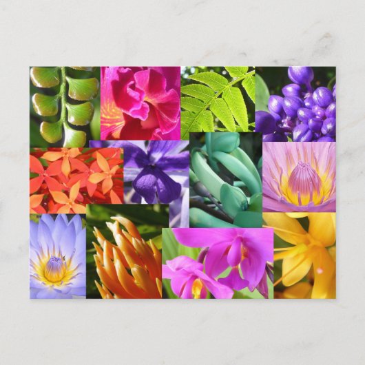 Colour Me Happy Postkarte (Vorderseite)