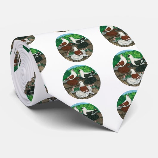 Colour Pigeon Trio Krawatte (Gerollt)