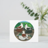 Colour Pigeon Trio Postkarte (Stehend Vorderseite)