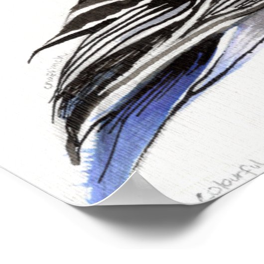 Colourful Chaffinch 2011 Poster (Ecke)