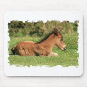 Colt, der in der Gras-Mausunterlage stillsteht Mousepad