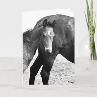 Colt Happy Birthday Karte