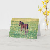 Colt in Dandelion Field Karte (Gelbe Blume)