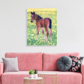 Colt in Dandelion Field Leinwanddruck (Insitu (Wohnzimmer))