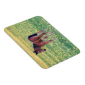 Colt in Dandelion Field Magnet (Rechte Seite)