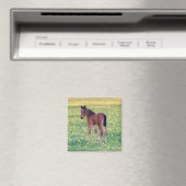 Colt in Dandelion Field Magnet (In Situ (Geschirrspüler))