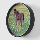 Colt in Dandelion Field Uhr (Winkel)