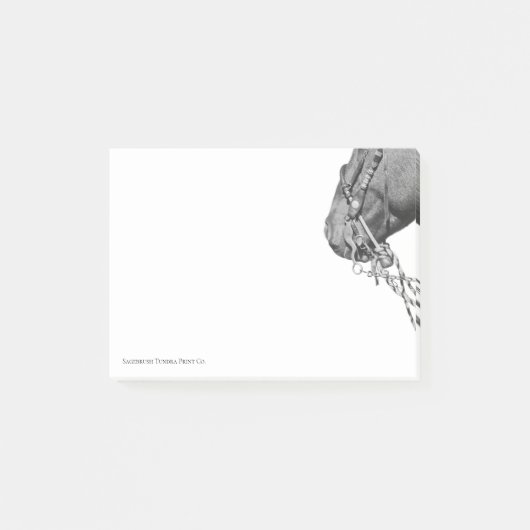 Colt in the Two Rein - 3" x 4" Post-it Notes Post-it Klebezettel (Vorderseite)