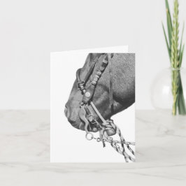 Colt in the Two Rein - 4" x 5.6" Notecard Karte