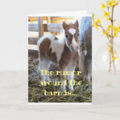 COLT KANN NICHT GLAUBEN, DASS SIE SO ALT SIND!!! 5 KARTE (Gelbe Blume)