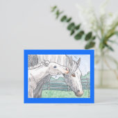 ‚Colt Kisses 2‘ Postkarte (Stehend Vorderseite)