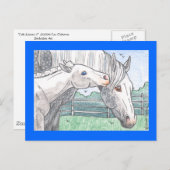 ‚Colt Kisses 2‘ Postkarte (Vorne/Hinten)