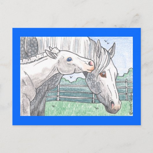 ‚Colt Kisses 2‘ Postkarte (Vorderseite)