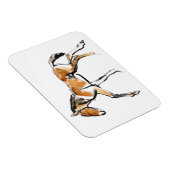 Colt Magnet (Rechte Seite)