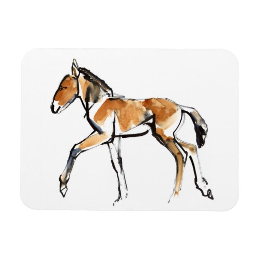 Colt Magnet (Horizontal)