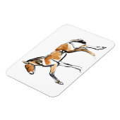 Colt Magnet (Linke Seite)