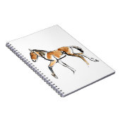 Colt Notizblock (Rechte Seite)