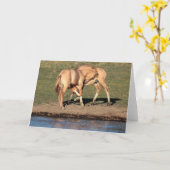 Colt Play Grußkarte Karte (Gelbe Blume)