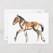 Colt Postkarte (Vorne/Hinten)