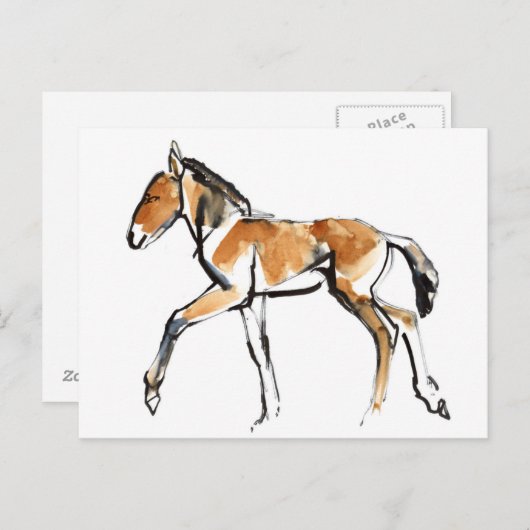 Colt Postkarte (Vorne/Hinten)