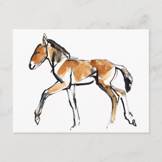 Colt Postkarte (Vorderseite)