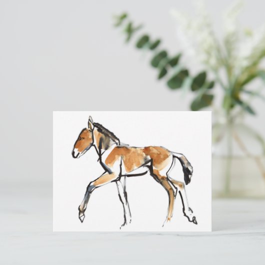 Colt Postkarte (Stehend Vorderseite)