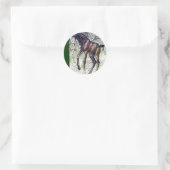 Colt Stickers (Tasche)