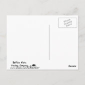 Colter-Hai Postkarte (Rückseite)