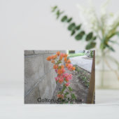 COLTON, C.A., POSTCARD POSTKARTE (Stehend Vorderseite)