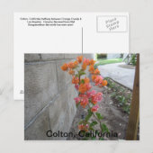 COLTON, C.A., POSTCARD POSTKARTE (Vorne/Hinten)