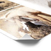 Colts werden Colts sein - Mustang Collage Fotodruck (Ecke)