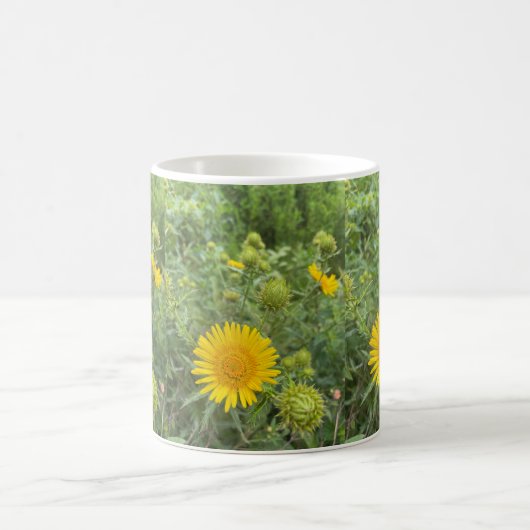 Coltsfoot 15 Oz Tasse (Mittel)