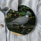 Columba palumbus button (Beispiel)