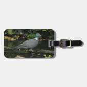 Columba palumbus gepäckanhänger (Vorderseite horizontal)