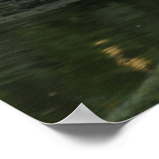 Columba palumbus poster (Ecke)